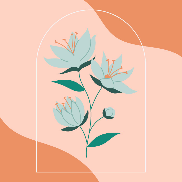 Emoticor CFT terapija usmjerena na suosjećanje slika 1