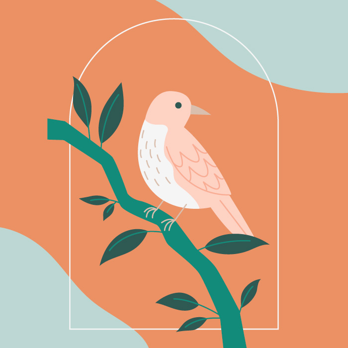 Emoticor CFT terapija usmjerena na suosjećanje slika 2